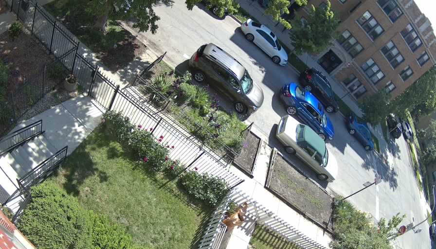 Reolink Camera Two_01_Reolink Home Hub One_20260525100401.jpg
